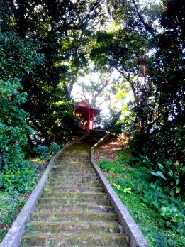 鹿児島観光案内所・金比羅神社